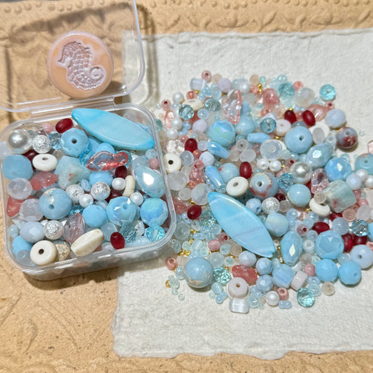 Seed Beads•S528-Sea Treasure (Over $45 Free Shipping)
